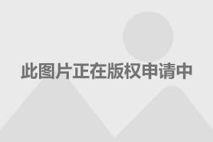  AC米兰传奇回归担任技术顾问  